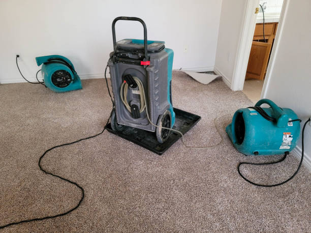 Best Local water damage restoration  in Broadlands, VA