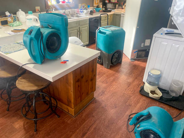 Best Basement water damage restoration  in Broadlands, VA