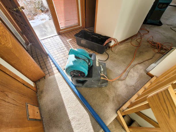 Best Mold removal after water damage  in Broadlands, VA