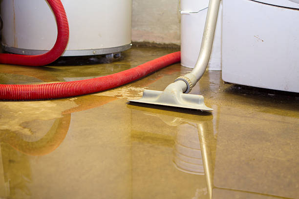 Best Professional water damage repair  in Broadlands, VA